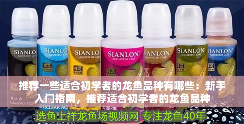 推薦一些適合初學者的龍魚品種有哪些：新手入門指南，推薦適合初學者的龍魚品種