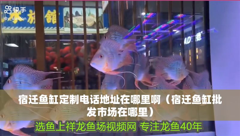 宿遷魚缸定制電話地址在哪里啊（宿遷魚缸批發市場在哪里）