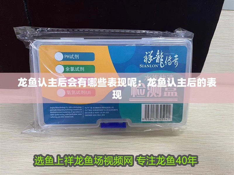 龍魚認主后會有哪些表現呢：龍魚認主后的表現
