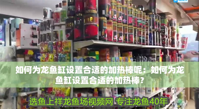 如何為龍魚缸設置合適的加熱棒呢：如何為龍魚缸設置合適的加熱棒？