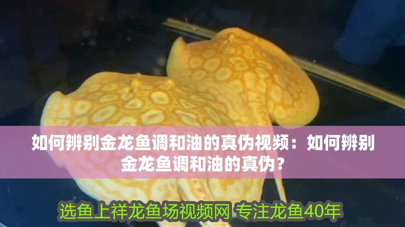如何辨別金龍魚調和油的真偽視頻：如何辨別金龍魚調和油的真偽？