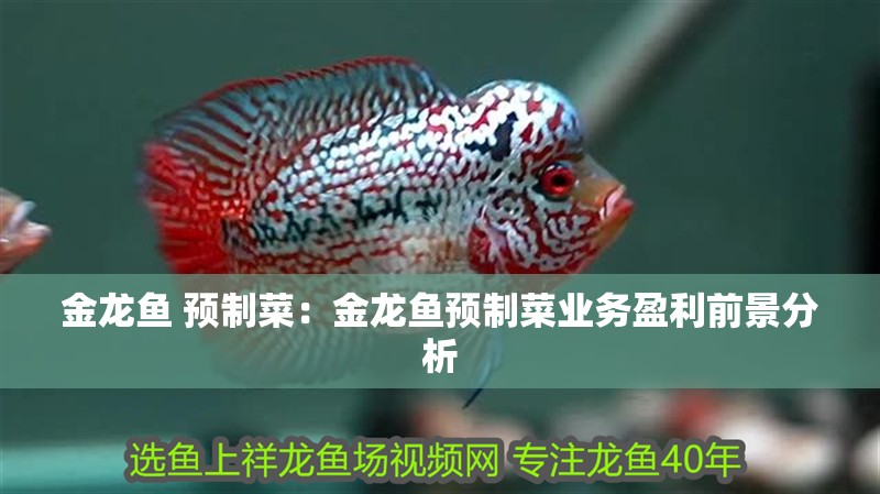 金龍魚 預制菜：金龍魚預制菜業(yè)務盈利前景分析