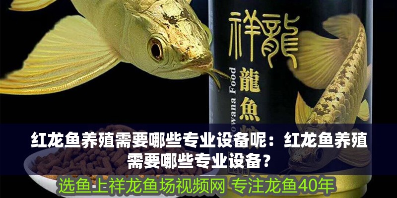 紅龍魚養殖需要哪些專業設備呢：紅龍魚養殖需要哪些專業設備？