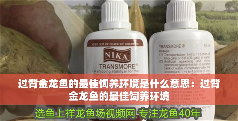 過背金龍魚的最佳飼養環境是什么意思：過背金龍魚的最佳飼養環境