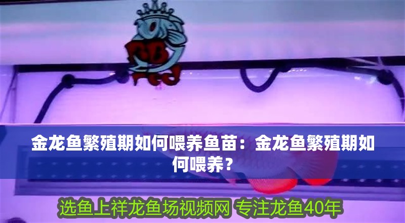 金龍魚繁殖期如何喂養魚苗：金龍魚繁殖期如何喂養？