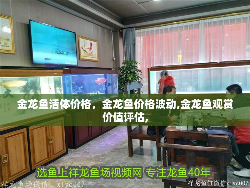 金龍魚活體價格，金龍魚價格波動,金龍魚觀賞價值評估,