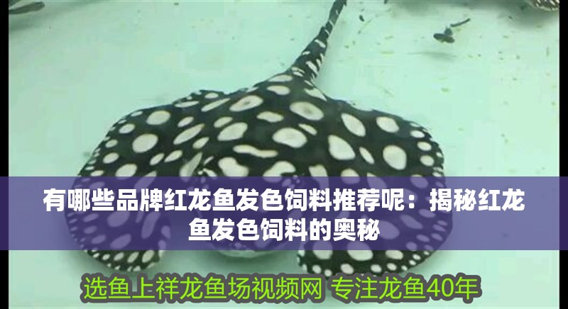 有哪些品牌紅龍魚發(fā)色飼料推薦呢：揭秘紅龍魚發(fā)色飼料的奧秘