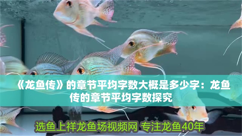 《龍魚傳》的章節平均字數大概是多少字：龍魚傳的章節平均字數探究