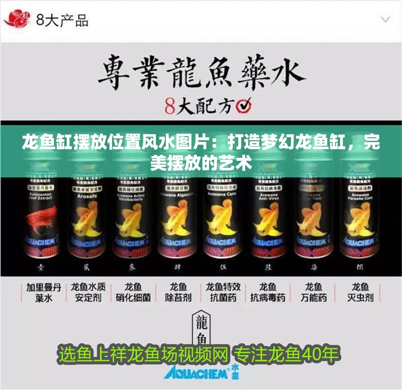龍魚缸擺放位置風水圖片：打造夢幻龍魚缸，完美擺放的藝術