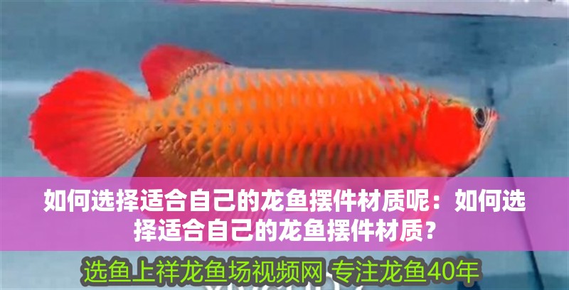 如何選擇適合自己的龍魚擺件材質呢：如何選擇適合自己的龍魚擺件材質？
