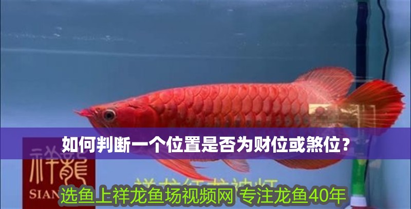 如何判斷一個位置是否為財位或煞位？