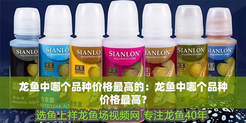 龍魚中哪個品種價格最高的：龍魚中哪個品種價格最高？