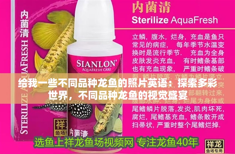 給我一些不同品種龍魚的照片英語：探索多彩世界，不同品種龍魚的視覺盛宴 給我一些不同品種龍魚的照片英語：探索多彩世界，不同品種龍魚的視覺盛宴 水族問答
