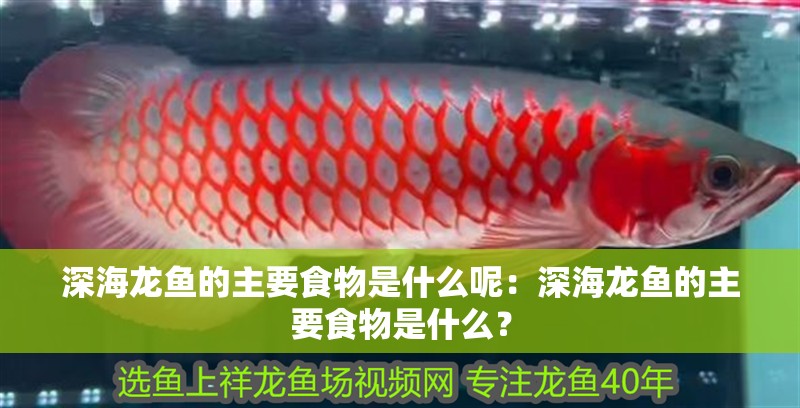 深海龍魚的主要食物是什么呢：深海龍魚的主要食物是什么？