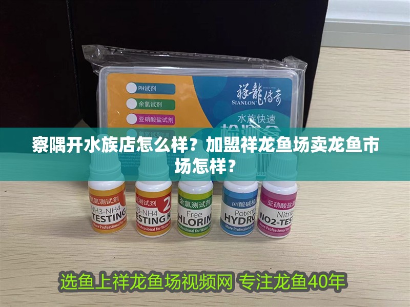 <strong><mark>察隅</mark></strong>開水族店怎么樣？加盟祥龍魚場賣龍魚市場怎樣？