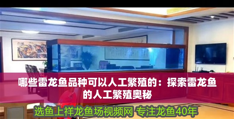 哪些雷龍魚品種可以人工繁殖的：探索雷龍魚的人工繁殖奧秘