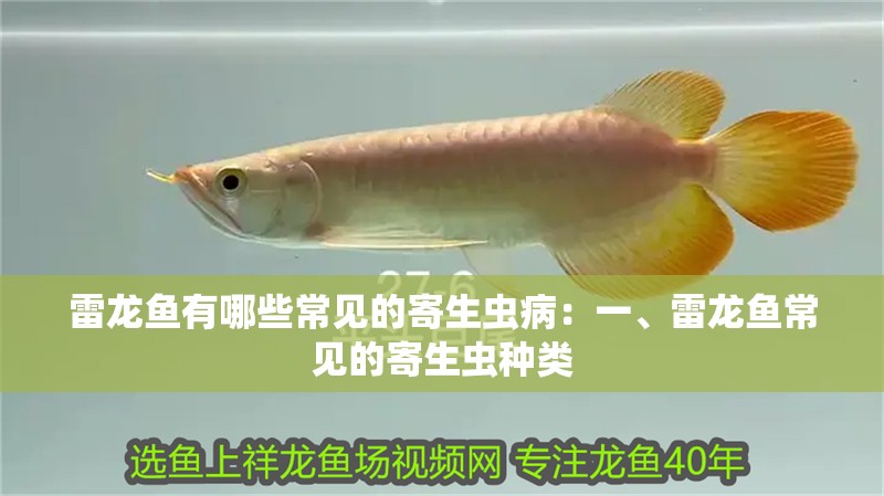 雷龍魚有哪些常見的寄生蟲病：一、雷龍魚常見的寄生蟲種類