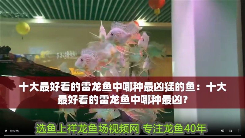 十大最好看的雷龍魚中哪種最兇猛的魚：十大最好看的雷龍魚中哪種最兇？