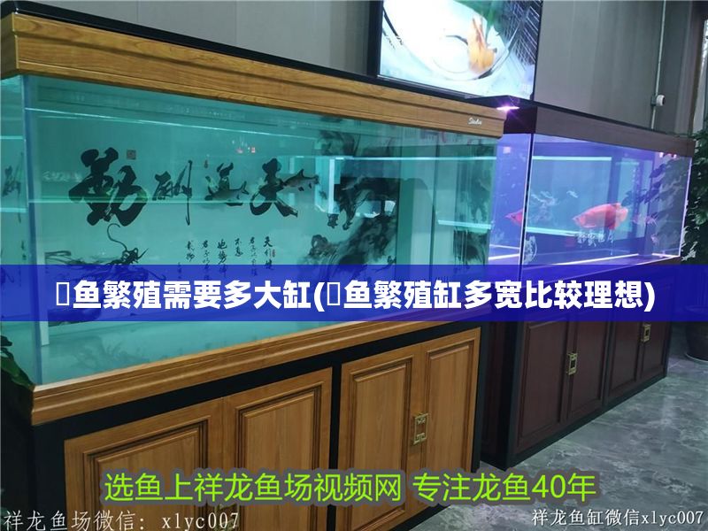 魟魚繁殖需要多大缸(魟魚繁殖缸多寬比較理想) 魟魚繁殖需要多大缸(魟魚繁殖缸多寬比較理想) 龍魚百科 第1張