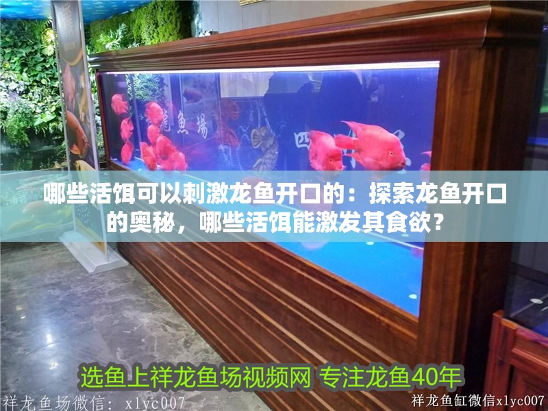哪些活餌可以刺激龍魚開口的：探索龍魚開口的奧秘，哪些活餌能激發其食欲？