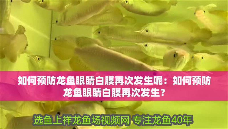 如何預防龍魚眼睛白膜再次發生呢：如何預防龍魚眼睛白膜再次發生？