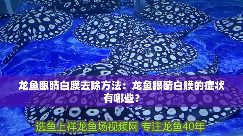 龍魚眼睛白膜去除方法：龍魚眼睛白膜的癥狀有哪些？