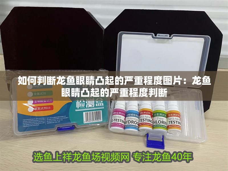 如何判斷龍魚眼睛凸起的嚴重程度圖片：龍魚眼睛凸起的嚴重程度判斷