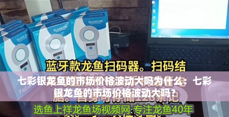 七彩銀龍魚的市場(chǎng)價(jià)格波動(dòng)大嗎為什么：七彩銀龍魚的市場(chǎng)價(jià)格波動(dòng)大嗎？