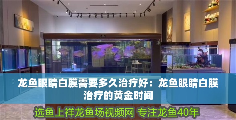 龍魚眼睛白膜需要多久治療好：龍魚眼睛白膜治療的黃金時間