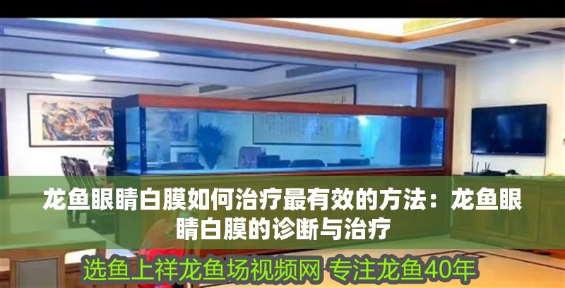 龍魚眼睛白膜如何治療最有效的方法：龍魚眼睛白膜的診斷與治療