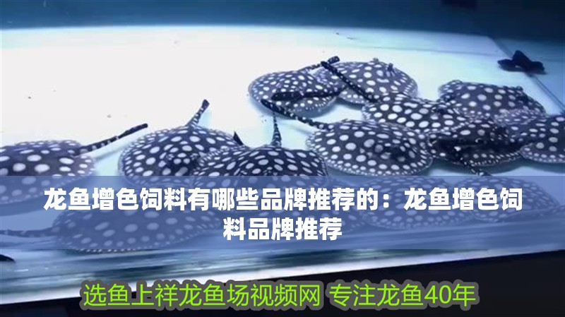 龍魚增色飼料有哪些品牌推薦的：龍魚增色飼料品牌推薦