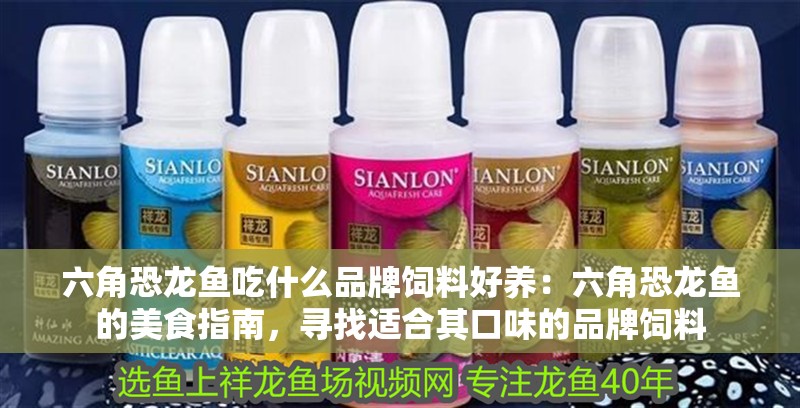 六角恐龍魚吃什么品牌飼料好養：六角恐龍魚的美食指南，尋找適合其口味的品牌飼料