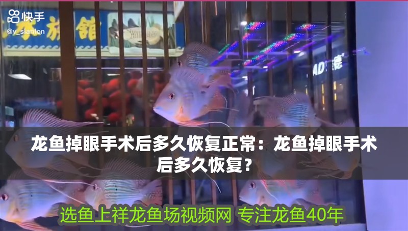 龍魚掉眼手術后多久恢復正常：龍魚掉眼手術后多久恢復？