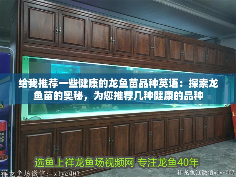 給我推薦一些健康的龍魚苗品種英語：探索龍魚苗的奧秘，為您推薦幾種健康的品種