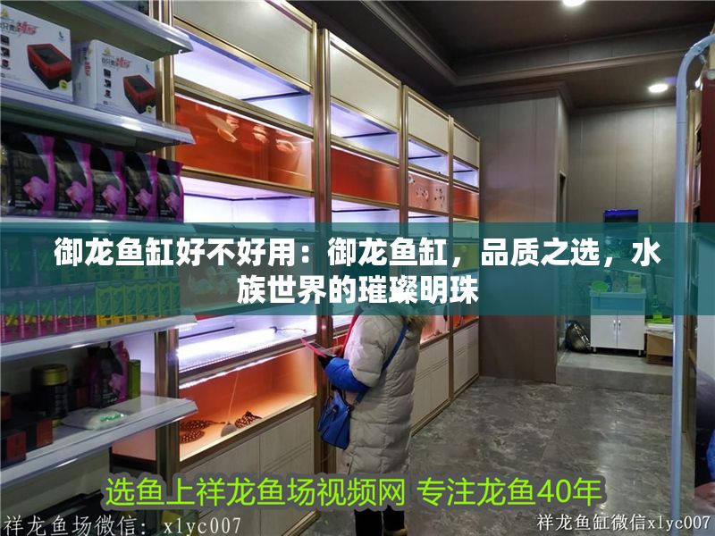 御龍魚缸好不好用：御龍魚缸，品質之選，水族世界的璀璨明珠