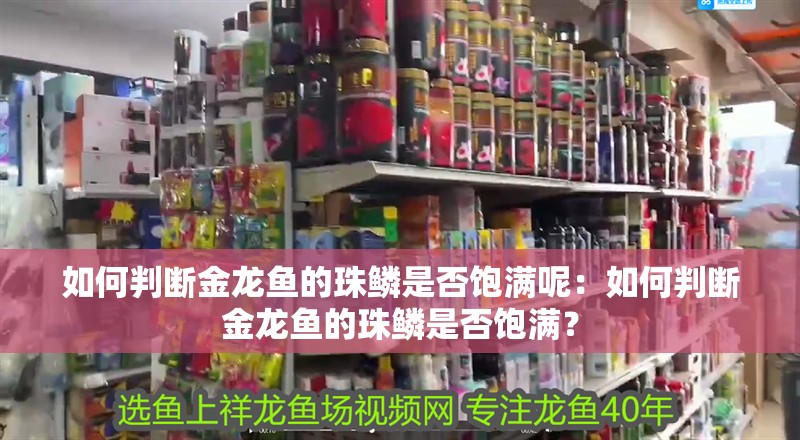 如何判斷金龍魚的珠鱗是否飽滿呢：如何判斷金龍魚的珠鱗是否飽滿？