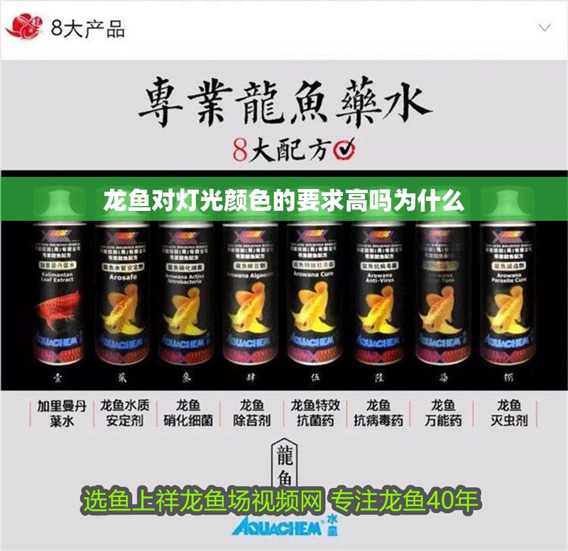 龍魚對燈光顏色的要求高嗎為什么