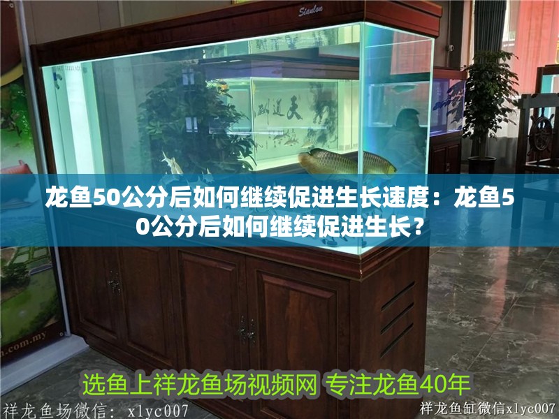 龍魚50公分后如何繼續促進生長速度：龍魚50公分后如何繼續促進生長？