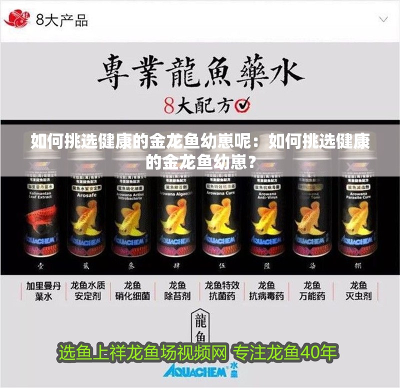 如何挑選健康的金龍魚幼崽呢：如何挑選健康的金龍魚幼崽？ 如何挑選健康的金龍魚幼崽呢：如何挑選健康的金龍魚幼崽？ 水族問答