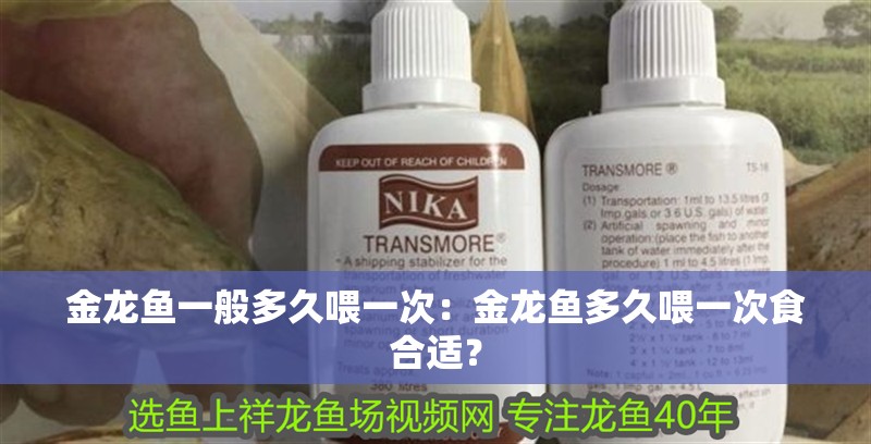 金龍魚一般多久喂一次：金龍魚多久喂一次食合適？