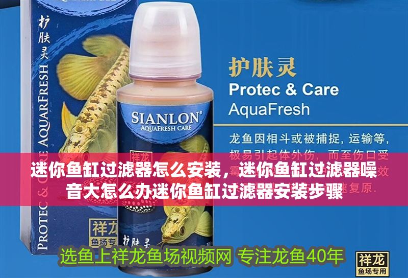 迷你魚缸過濾器怎么安裝，迷你魚缸過濾器噪音大怎么辦迷你魚缸過濾器安裝步驟