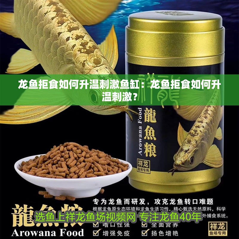 龍魚拒食如何升溫刺激魚缸：龍魚拒食如何升溫刺激？
