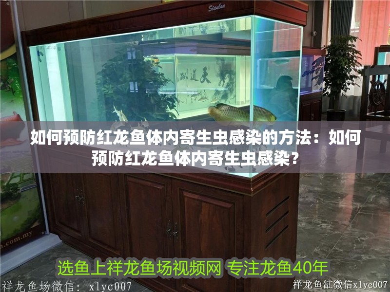 如何預防紅龍魚體內寄生蟲感染的方法：如何預防紅龍魚體內寄生蟲感染？