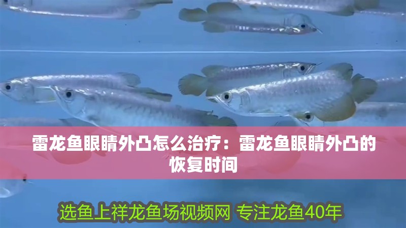 雷龍魚(yú)眼睛外凸怎么治療：雷龍魚(yú)眼睛外凸的恢復(fù)時(shí)間