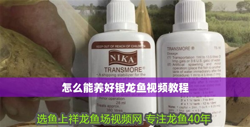 魚缸用增氧泵價格是多少:魚缸增氧機-xtrac增氧機-xtrac增氧機 怎么能養好銀龍魚視頻教程 龍魚百科 怎么能養好銀龍魚視頻教程 怎么能養好銀龍魚視頻教程 龍魚百科