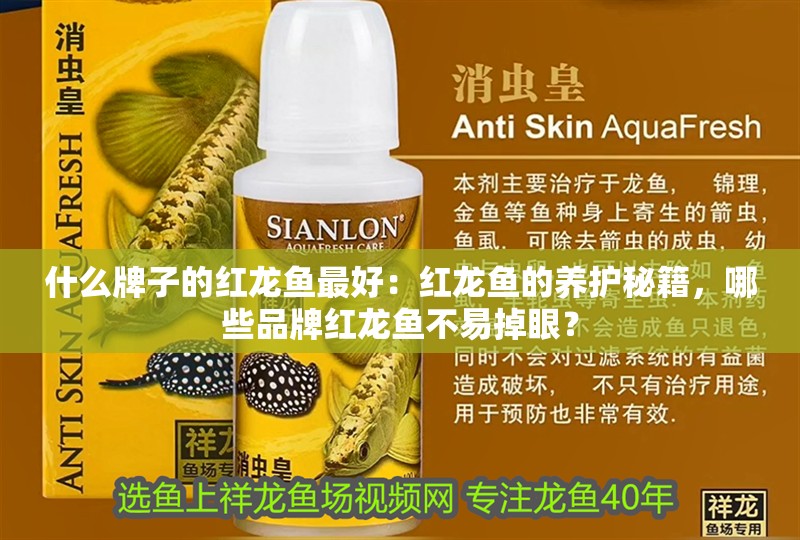 什么牌子的紅龍魚最好：紅龍魚的養(yǎng)護(hù)秘籍，哪些品牌紅龍魚不易掉眼？
