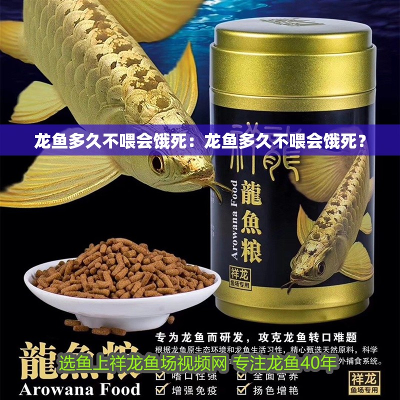 龍魚多久不喂會餓死：龍魚多久不喂會餓死？