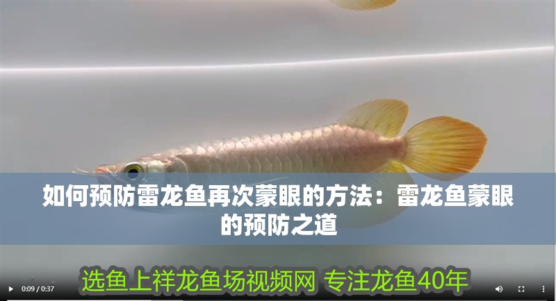 如何預防雷龍魚再次蒙眼的方法：雷龍魚蒙眼的預防之道