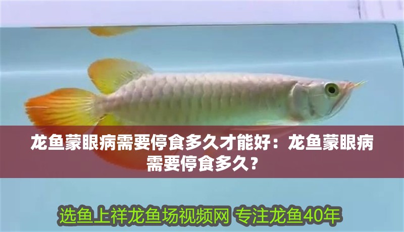 龍魚蒙眼病需要停食多久才能好：龍魚蒙眼病需要停食多久？