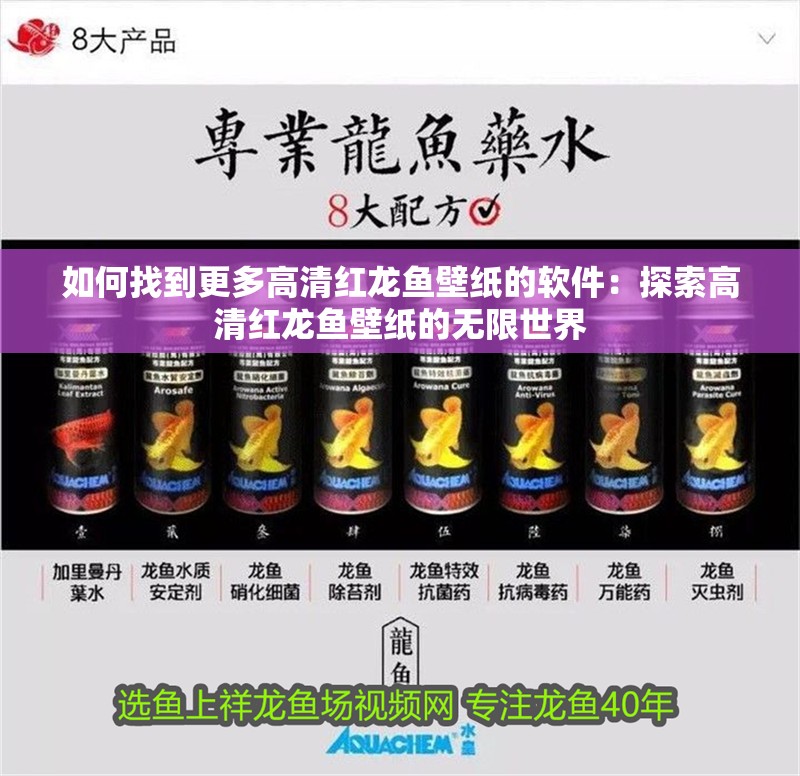如何找到更多高清紅龍魚壁紙的軟件：探索高清紅龍魚壁紙的無限世界